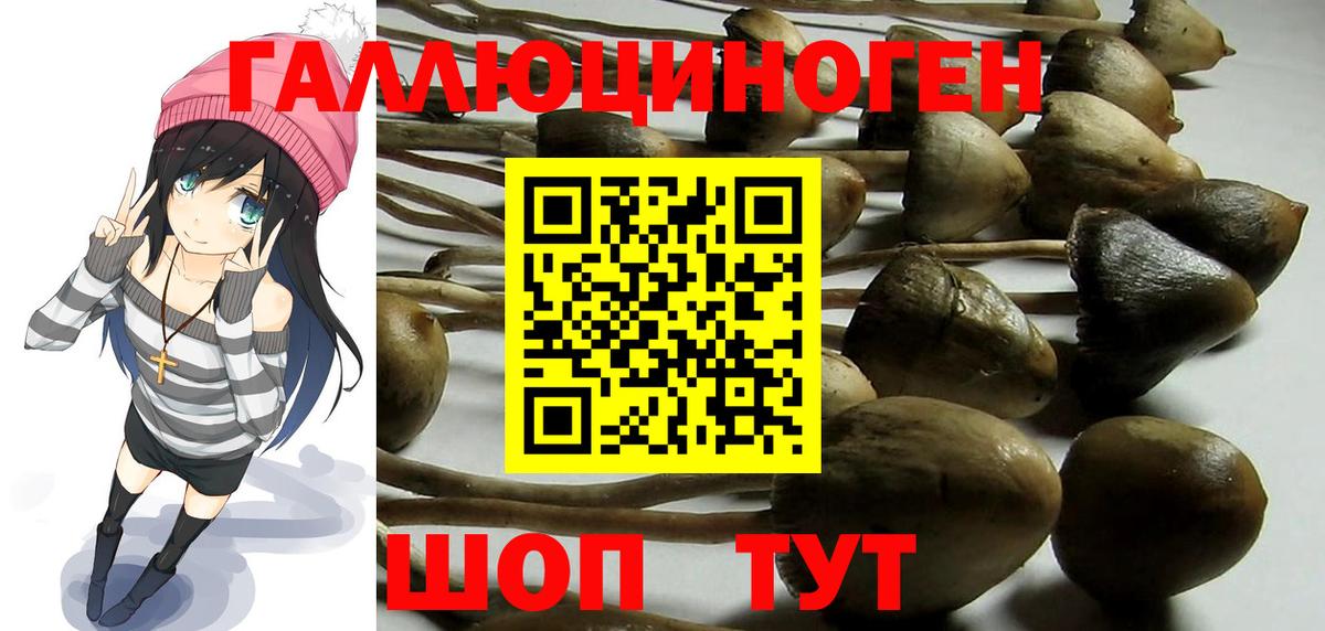 Сосновоборск  купить наркотик  Вход с VPN  Галлюциногенные грибы MAGIC MUSHROOMS 