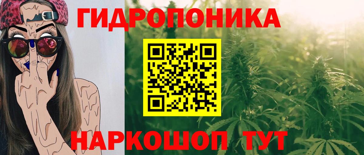 Конопля Amnesia Сосновоборск